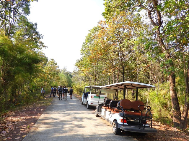 Mùa Rừng Khộp Thay Lá, Có Rất Nhiều Du Khách Trong Và Ngoài Nước Tìm Đến Thăm Quan.