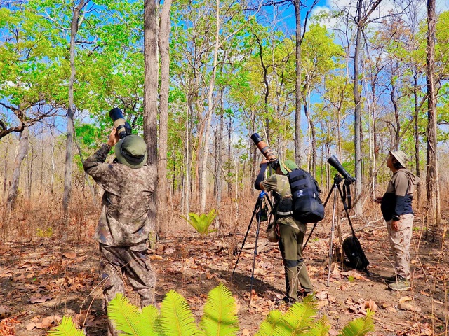 Dịp Này, Nhiều Nhiếp Ảnh Gia Đến Vườn Quốc Gia Yok Đôn Để Chụp Ảnh Khoảnh Mùa Thay Lá.