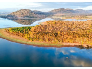 Lifestyle - Đẹp ngỡ ngàng rừng khộp mùa thay lá