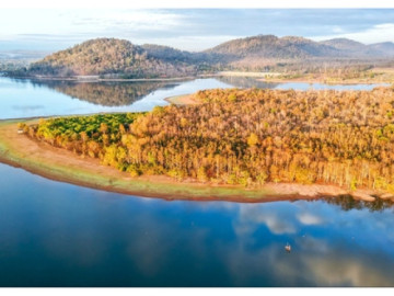 Lifestyle - Đẹp ngỡ ngàng rừng khộp mùa thay lá