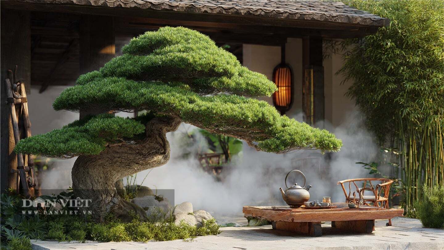 Đặt cây cảnh trong phòng khách hoặc trước nhà sẽ nâng tầm tổng thể không gian sống của ngôi nhà.