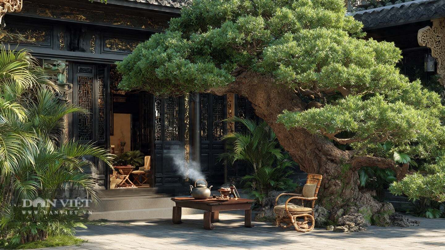 Cây cảnh luôn đứng canh gác ngôi nhà của bạn, chẳng bao giờ biến mất.