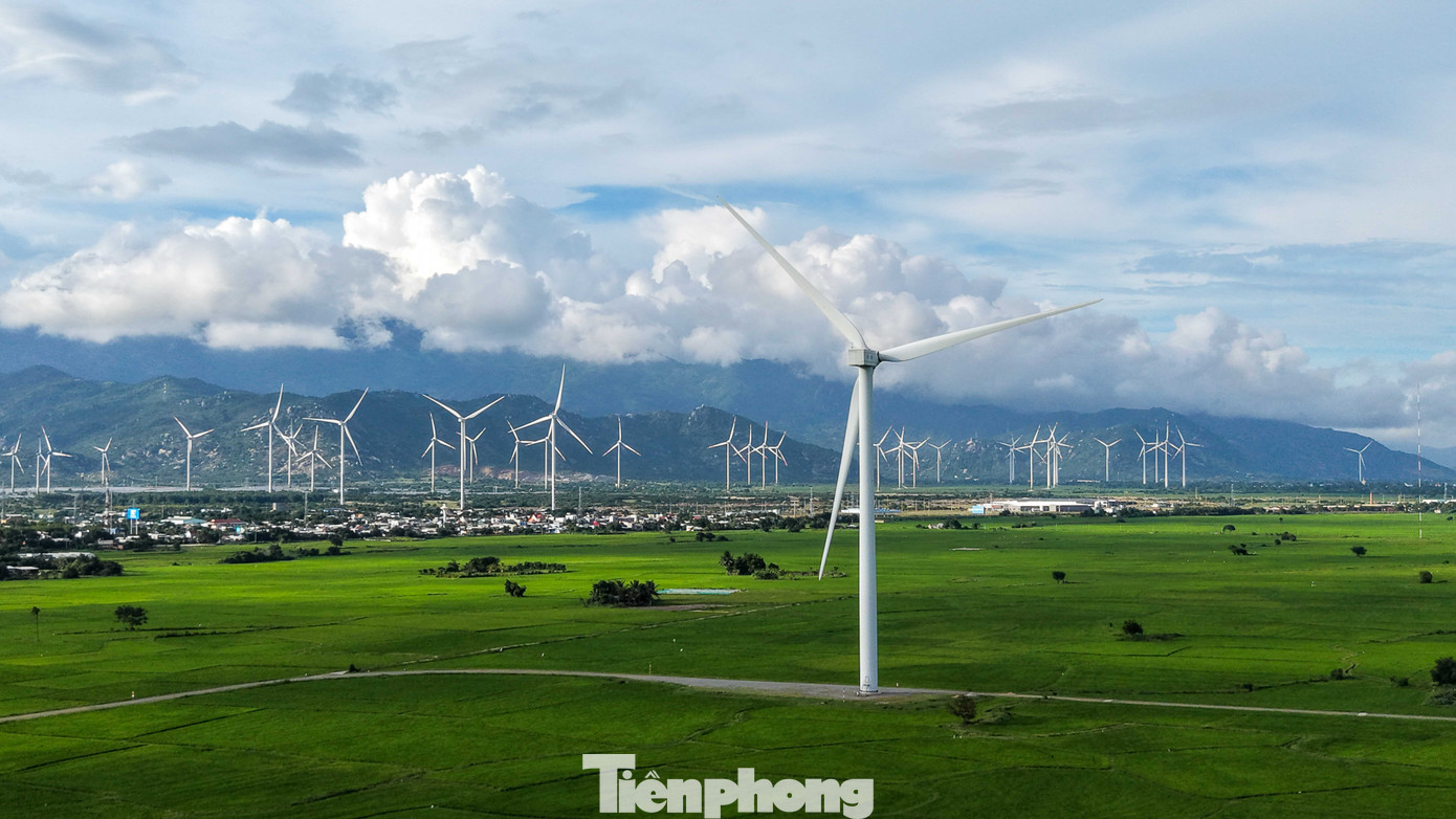 Hàng trăm trụ turbine cao hàng chục mét xếp thành hàng dài, cánh quạt quay chậm rãi trong gió, tạo nên khung cảnh vừa hiện đại vừa phóng khoáng.