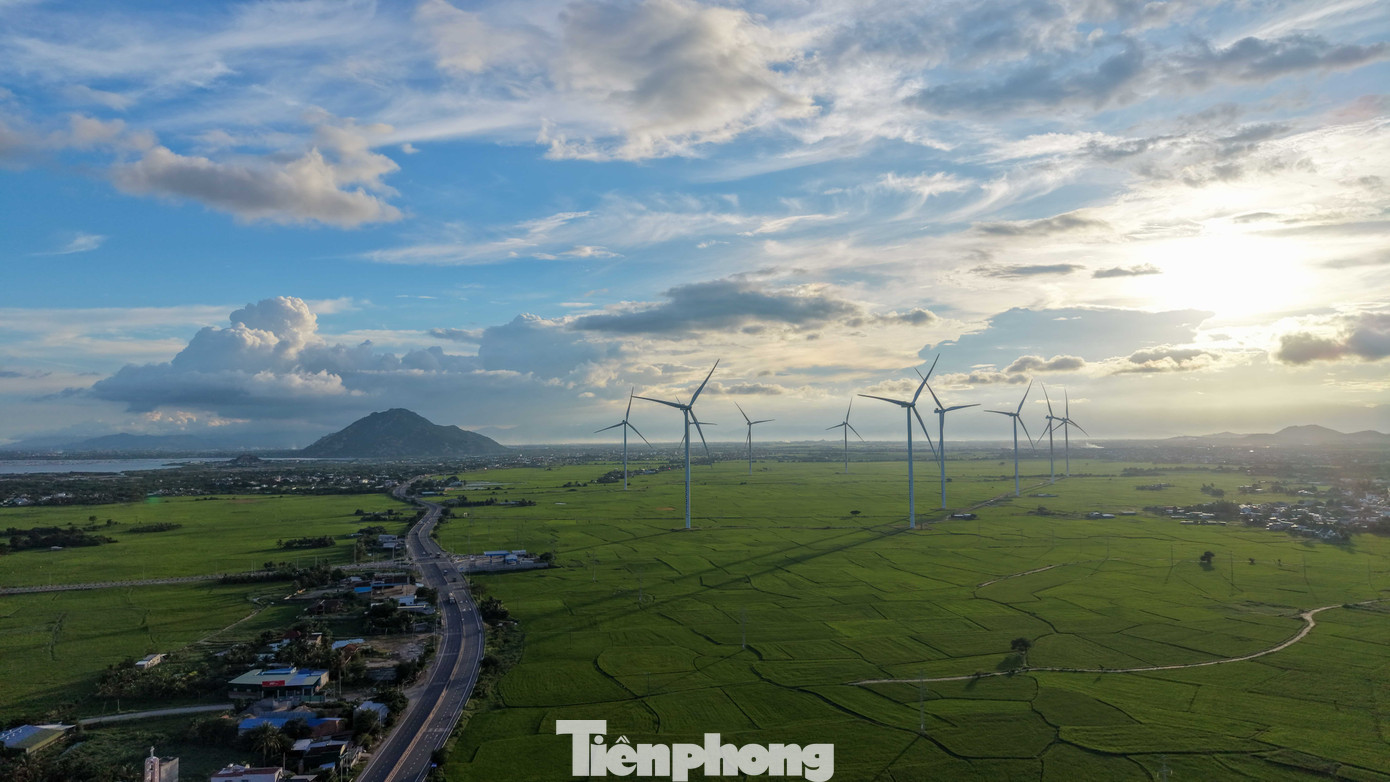 Một trong những khu vực nổi bật là quanh Đầm Nại, nơi nhiều turbine gió nằm sát cánh đồng và đường ven biển. Từ đây, du khách có thể phóng tầm mắt ngắm những trụ turbine trắng nổi bật giữa nền trời xanh và khung cảnh đồng ruộng rộng lớn.