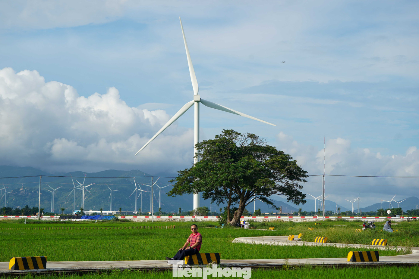 Đẹp lịm tim hoàng hôn ở cánh đồng điện gió - 8