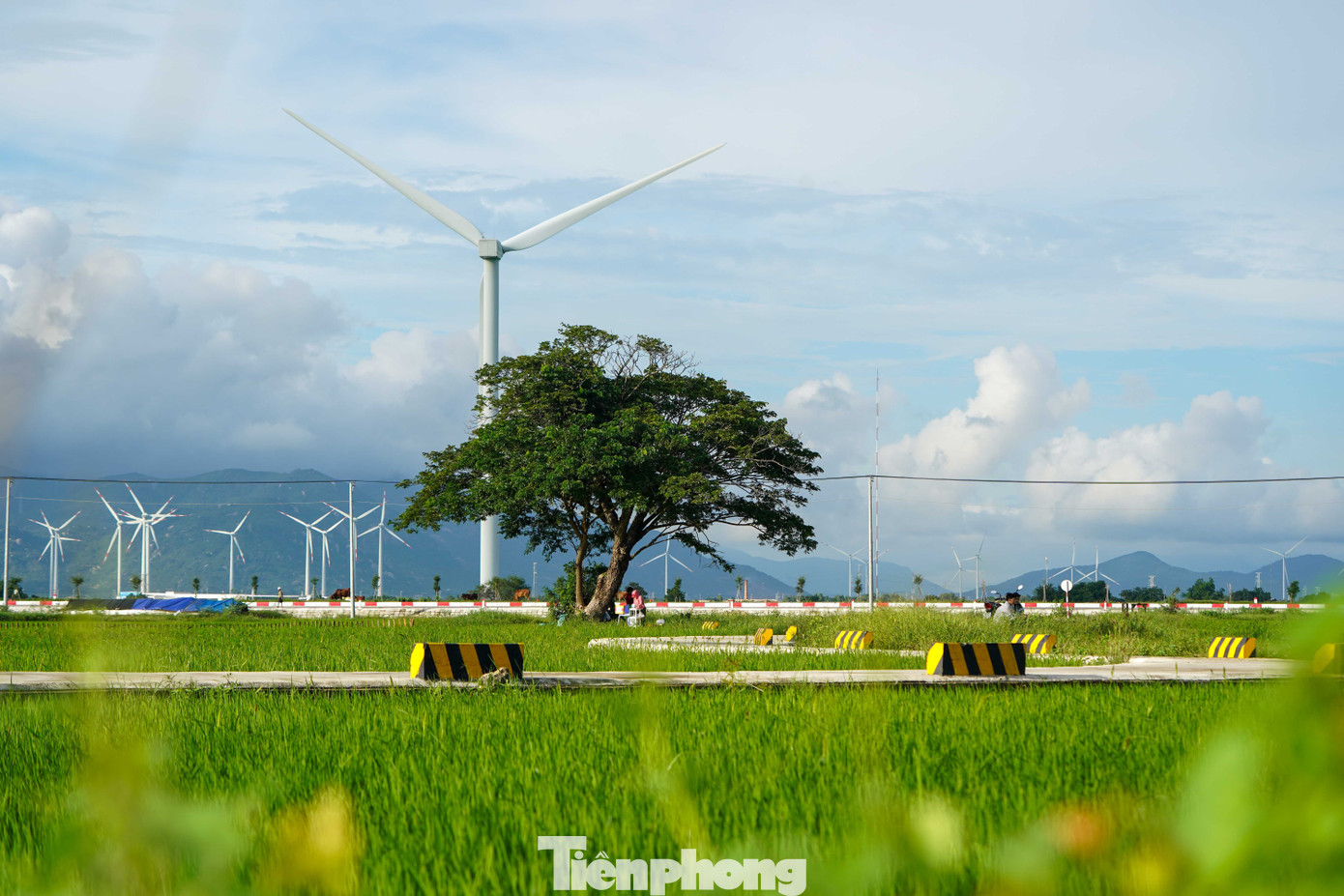 img src/upload/1-2026/images/2026-03-09/1773019865-tp-dien-gio00016-width1390height927.jpg width660 /