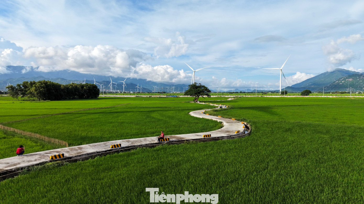 img src/upload/1-2026/images/2026-03-09/1773019866-tp-dien-gio00018-width1390height927.jpg width660 /