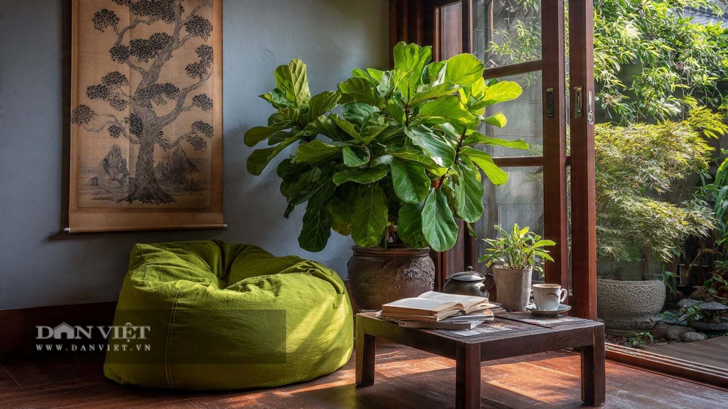 Người xưa cho rằng, trồng cây cảnh trong nhà sẽ mang lại sự giàu sang