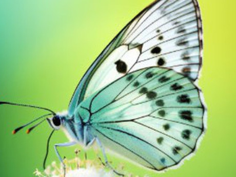 Tháng sinh Âm lịch của người có nghị lực mạnh mẽ, dễ giàu từ trung niên