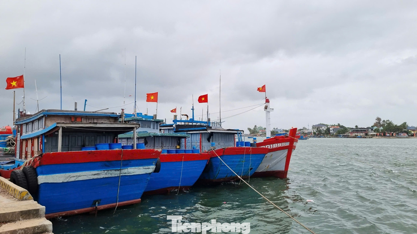 Tàu cá neo đậu tại cảng cá Tam Quang.