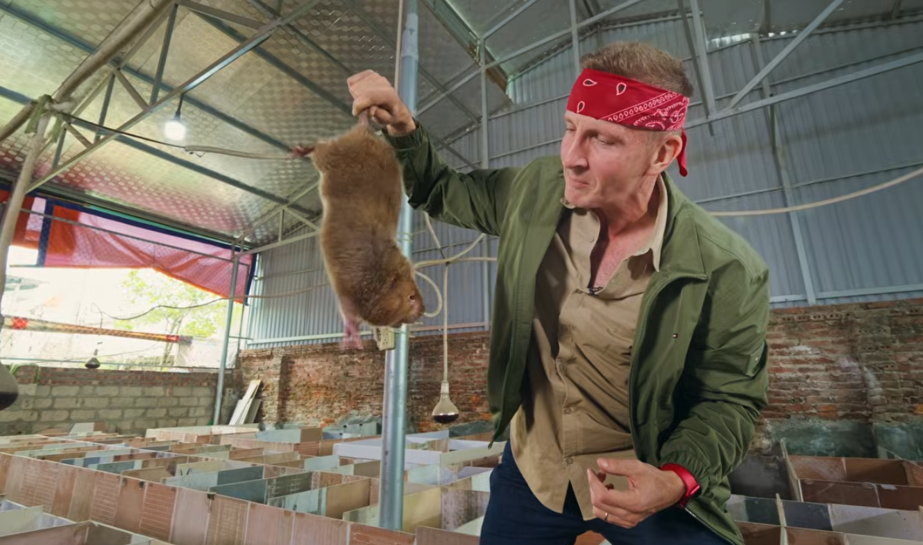 Sonny tới trang trại nuôi dúi ở ngoại thành Hà Nội để tìm hiểu về loài chuột khổng lồ này