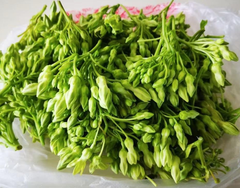 Loại rau dân dã, thơm lạ, ăn nhiều sáng mắt, giải độc, thanh nhiệt mùa hè, nấu kiểu này cực ngon - 2