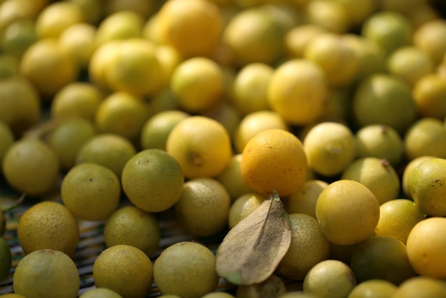 Chanh là loại quả phổ biến ở nước ta.