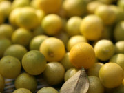 Sức khỏe - Loại quả nhỏ xíu được trồng khắp Việt Nam, đứng đầu danh sách quả “tốt nhất thế giới”, giá chỉ vài nghìn đồng, ăn cực tốt