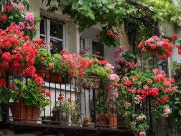 5 cây cảnh giá rẻ, chạm đất là sống, trồng 1 chậu có cả vườn, gia đình tươi xanh, rực rỡ, thu hút niềm vui và may mắn