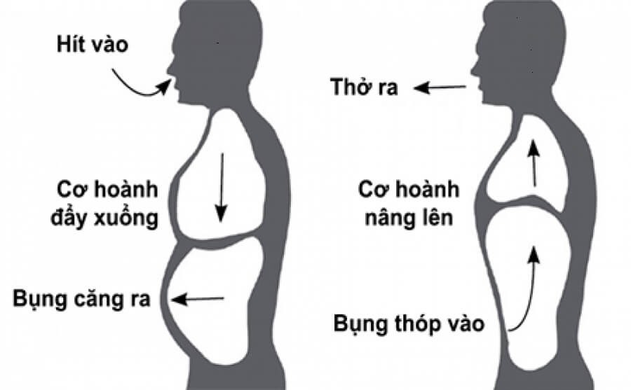 Thở bằng cơ hoành giúp tăng hiệu quả hô hấp, dịu lo âu và hỗ trợ làm chậm nhịp tim.