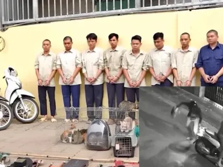 Đối tượng cuối cùng trong nhóm trộm mèo ở Hóc Môn ra đầu thú