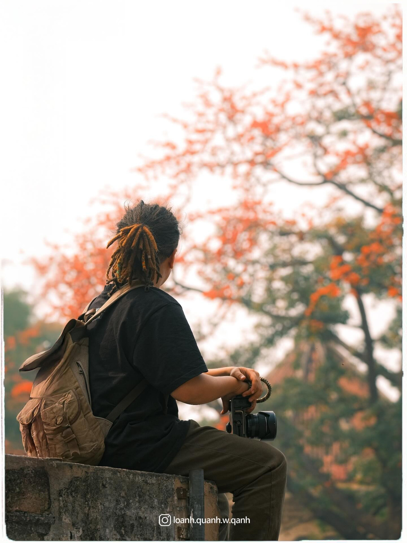 Ngắm loạt ảnh mùa cây thay lá, hiểu vì sao Hà Nội lọt top 50 thành phố đẹp nhất thế giới - 1