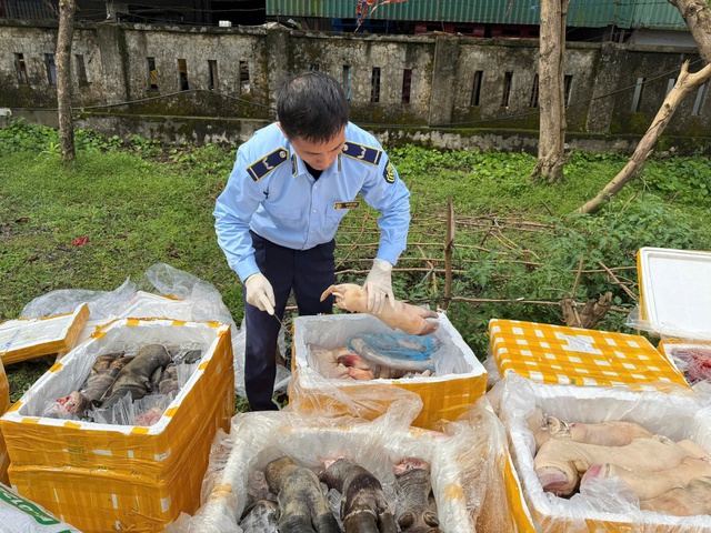 Kinh hoàng hơn 2,6 tấn chân trâu, nội tạng động vật không rõ nguồn gốc vừa bị phát hiện khi lưu thông trên cao tốc Bắc – Nam - 1