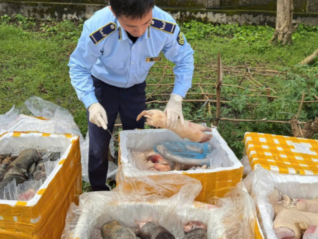 Kinh hoàng hơn 2,6 tấn chân trâu, nội tạng động vật không rõ nguồn gốc vừa bị phát hiện khi lưu thông trên cao tốc Bắc – Nam