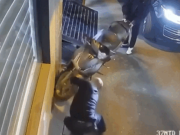 Tin tức - Hà Nội: Danh tính tài xế Range Rover chọc thủng lốp SH trong ngõ nhỏ