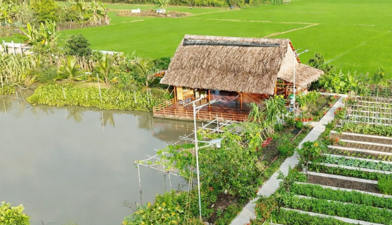 Căn nhà mái lá giản dị, xinh đẹp được thiết kế trên một góc ao cá. Ảnh: Nhân vật cung cấp
