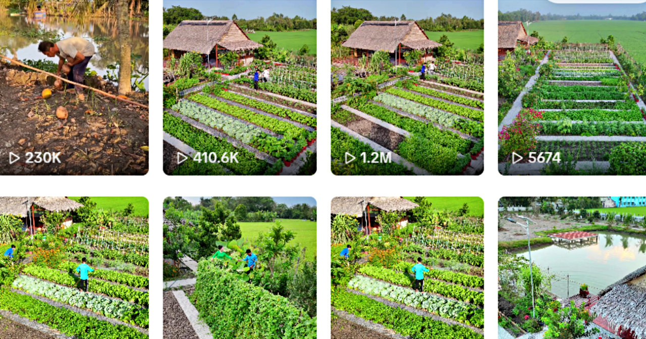 Những thước phim ngắn về khu vườn, cuộc sống, công việc thường nhật của vợ chồng chị Hồng được đông đảo cộng đồng mạng đón nhận. Ảnh: Nhân vật cung cấp