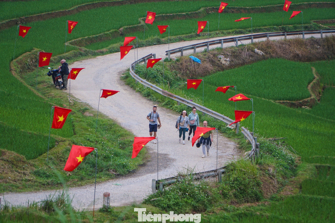 Những ngày này, du khách đến thôn Đôn, xã Pù Luông (tỉnh Thanh Hóa) đều thích thú, đến chụp ảnh tại con đường hình chữ S rợp bóng cờ. Ảnh: Phạm Trường.