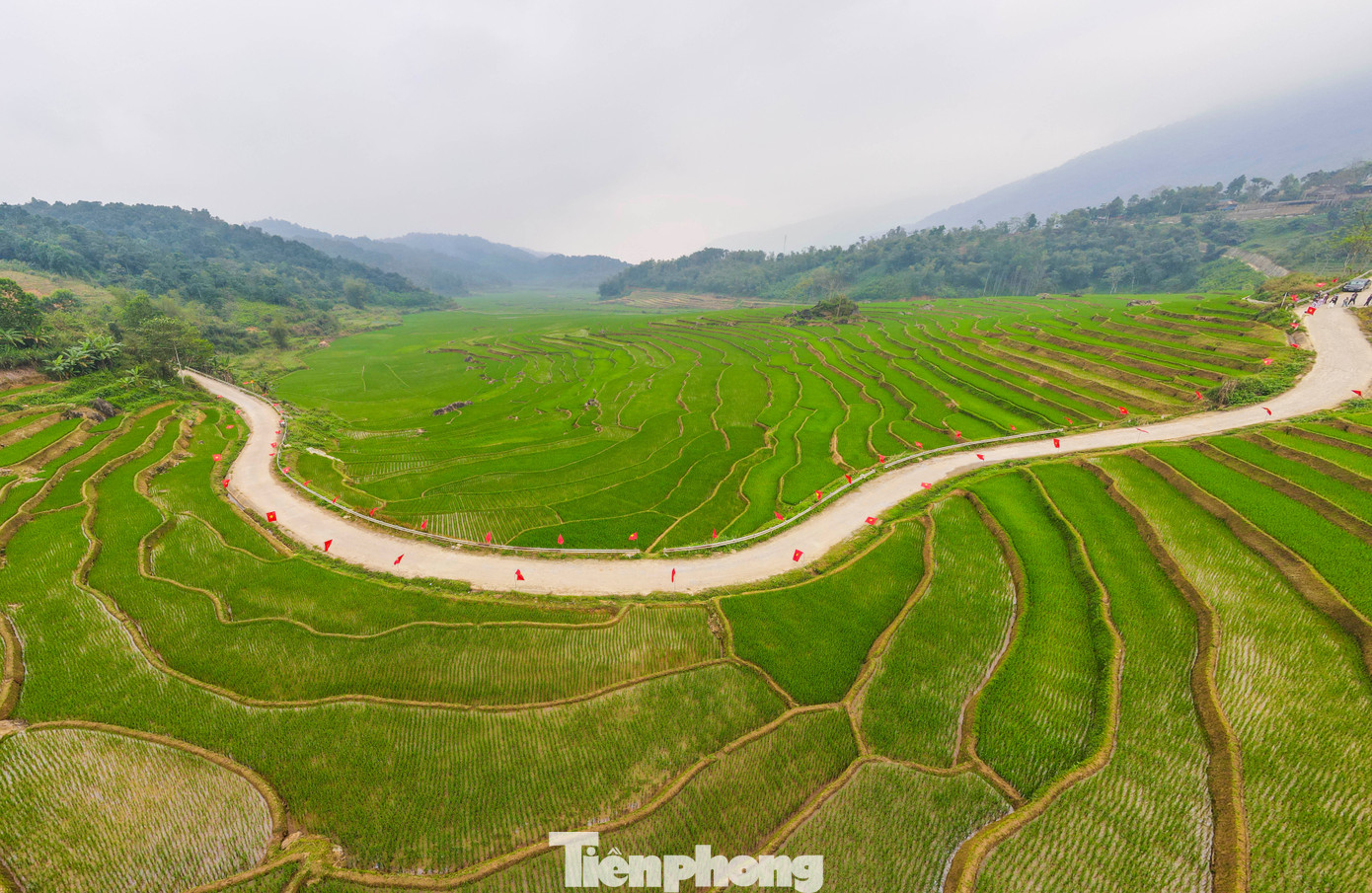 Theo người dân địa phương, việc treo cờ đỏ sao vàng dọc cung đường ruộng bậc thang đã trở thành hoạt động thường niên mỗi dịp lễ lớn của đất nước.