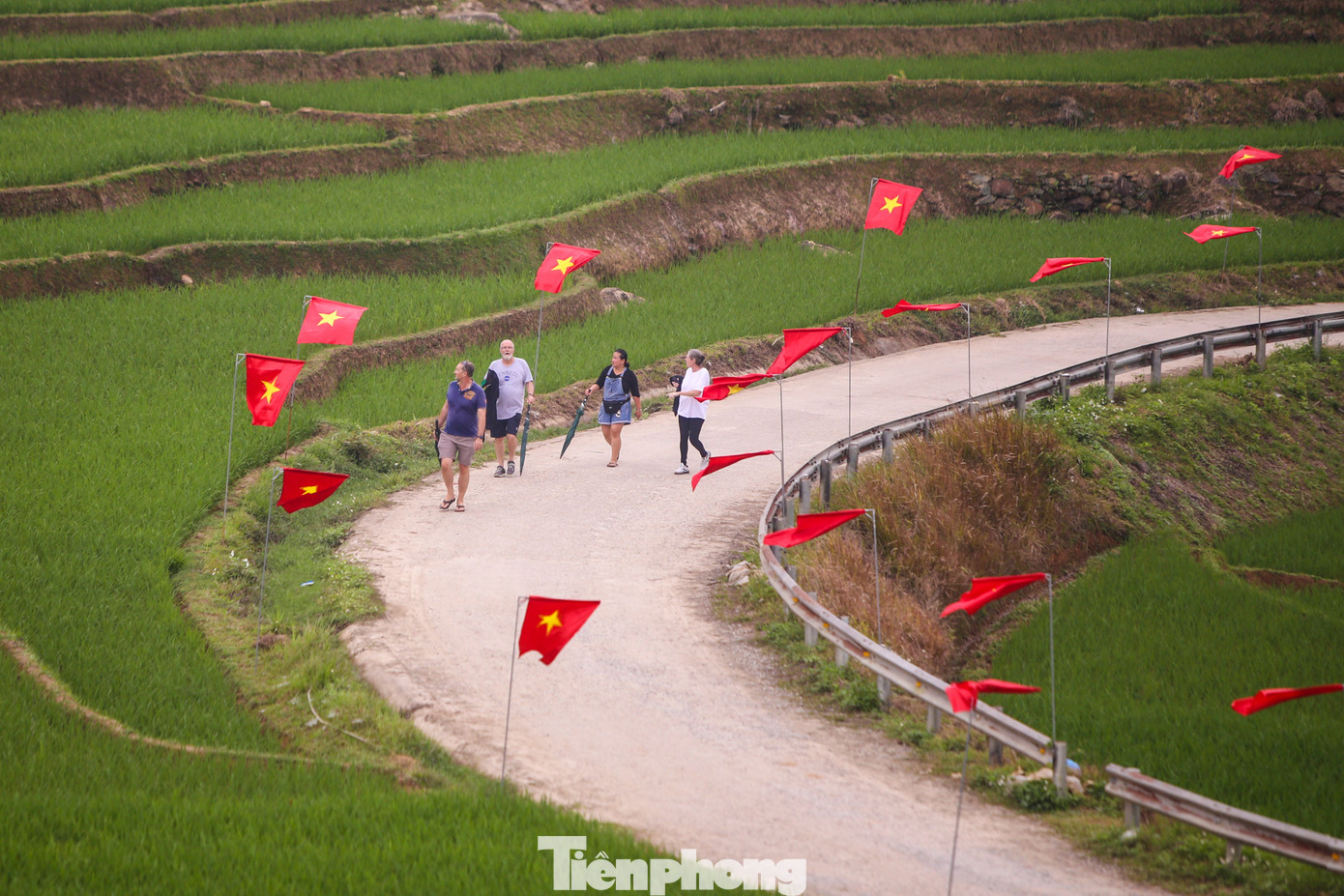Trước ngày hội toàn dân, chính quyền địa phương đã trang trí đường cờ như khoác lên tấm áo mới, vừa trang nghiêm, vừa rực rỡ. Hình ảnh những lá cờ nối tiếp nhau, trải dài giữa màu xanh mướt của lúa non, tạo nên một khung cảnh hùng vĩ.