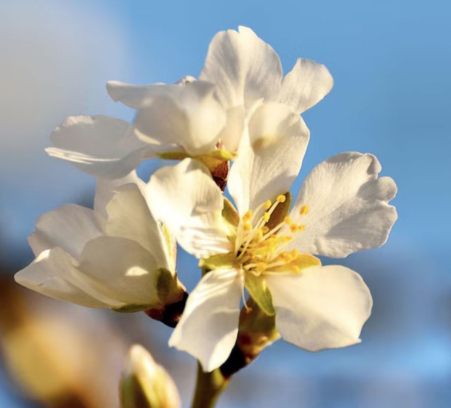 Những người sinh vào giờ Tý Âm lịch thường có tính cách khá đặc biệt. Họ có thể vừa mạnh mẽ, quyết đoán nhưng cũng rất tinh tế và nhạy cảm - Ảnh minh họa.