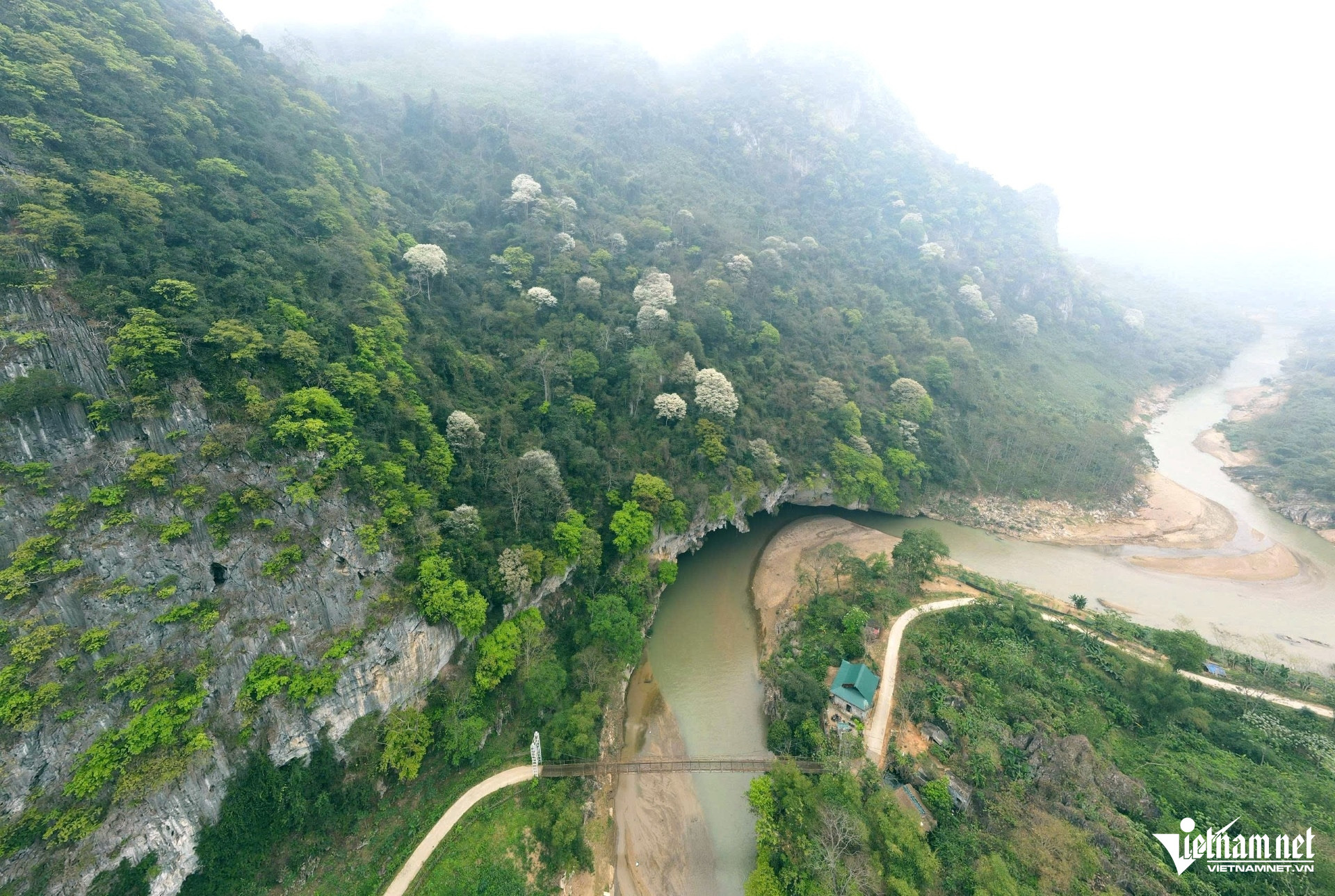 Hoa thàn mát nở trắng sườn núi Thanh Hóa, đẹp như biển mây giữa đại ngàn 19 Khu vực hang Phi xã Hồi Xuân, hoa thàn mát nở trắng sười núi. Ảnh: Lê Dương