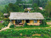 Lifestyle - Bản làng xanh mát cách Hà Nội 250km, khách vượt xa đến hái rau, tự nấu cơm