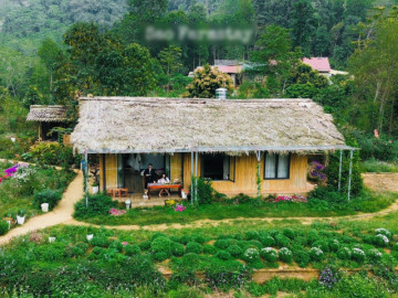 Bản làng xanh mát cách Hà Nội 250km, khách vượt xa đến hái rau, tự nấu cơm