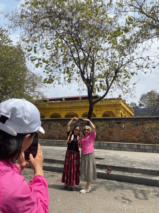 Người dân thủ đô check-in bên cạnh cây hoa ban (Ảnh: Lệ Quyên)