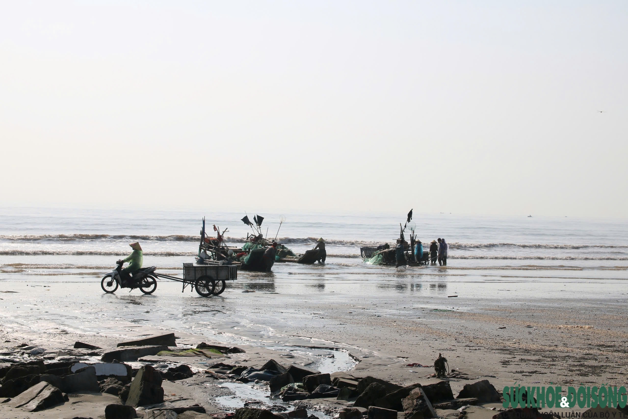 Từ sáng tinh mơ, bến cá xã Hải Châu rộn ràng khi thuyền đánh bắt cá trích nối nhau cập bờ.