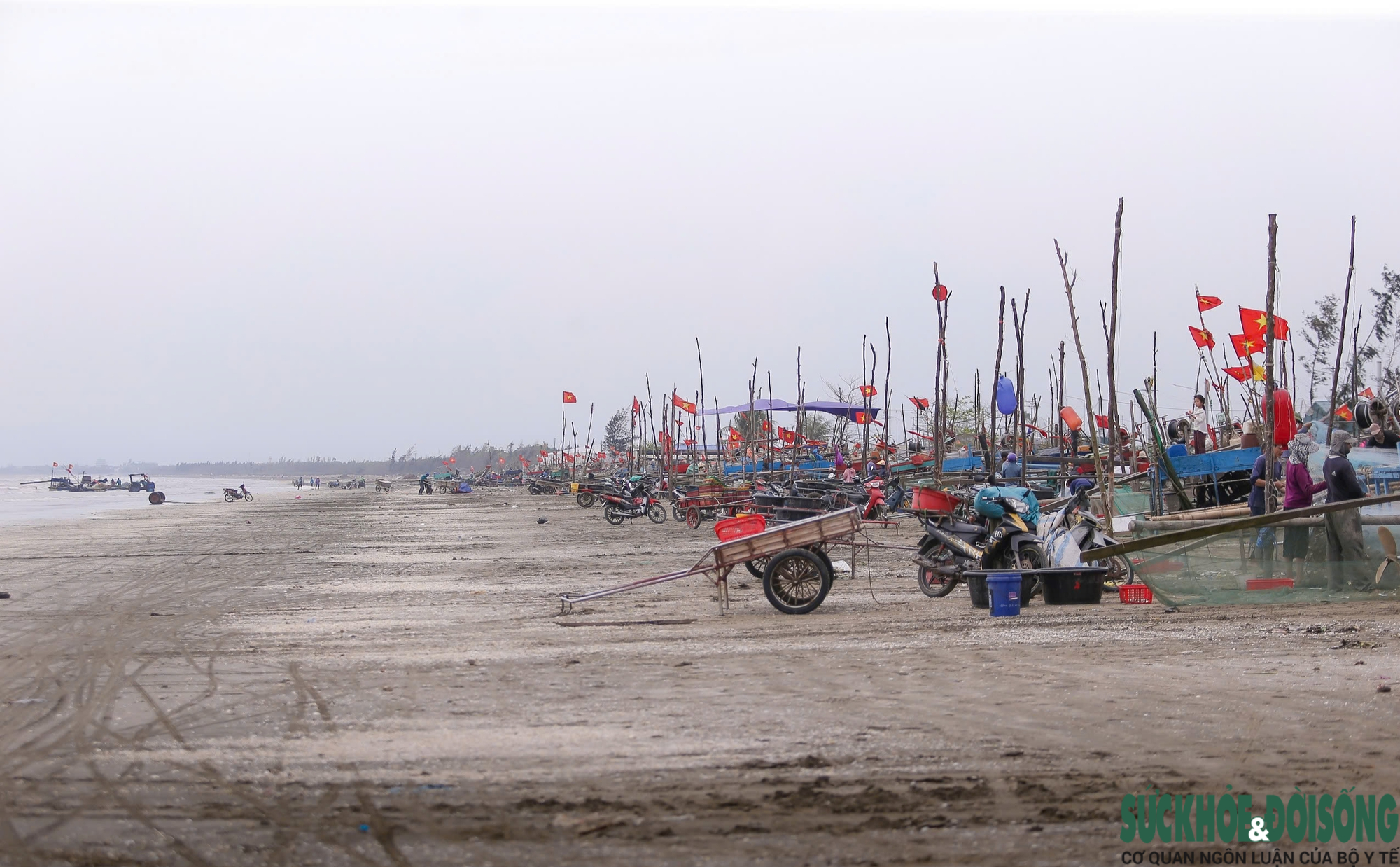 Mỗi chuyến biển, sản lượng có thể đạt từ vài chục đến hàng trăm kg cá, mang lại nguồn thu ổn định cho bà con.