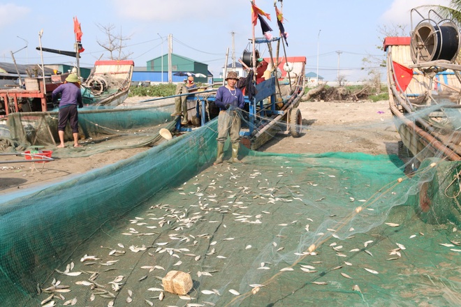 img src/upload/1-2026/images/2026-03-21/1774067236-ngu-dan-trung-dam-moi-ngay-nho-loai-ca-giau-dam16-12-width660height440.jpg width660 /