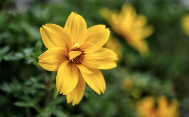 Khi bước vào trung niên, đa phần người sinh giờ Tý đã đạt được mức sống ổn định, thậm chí khá giả. Ảnh minh họa