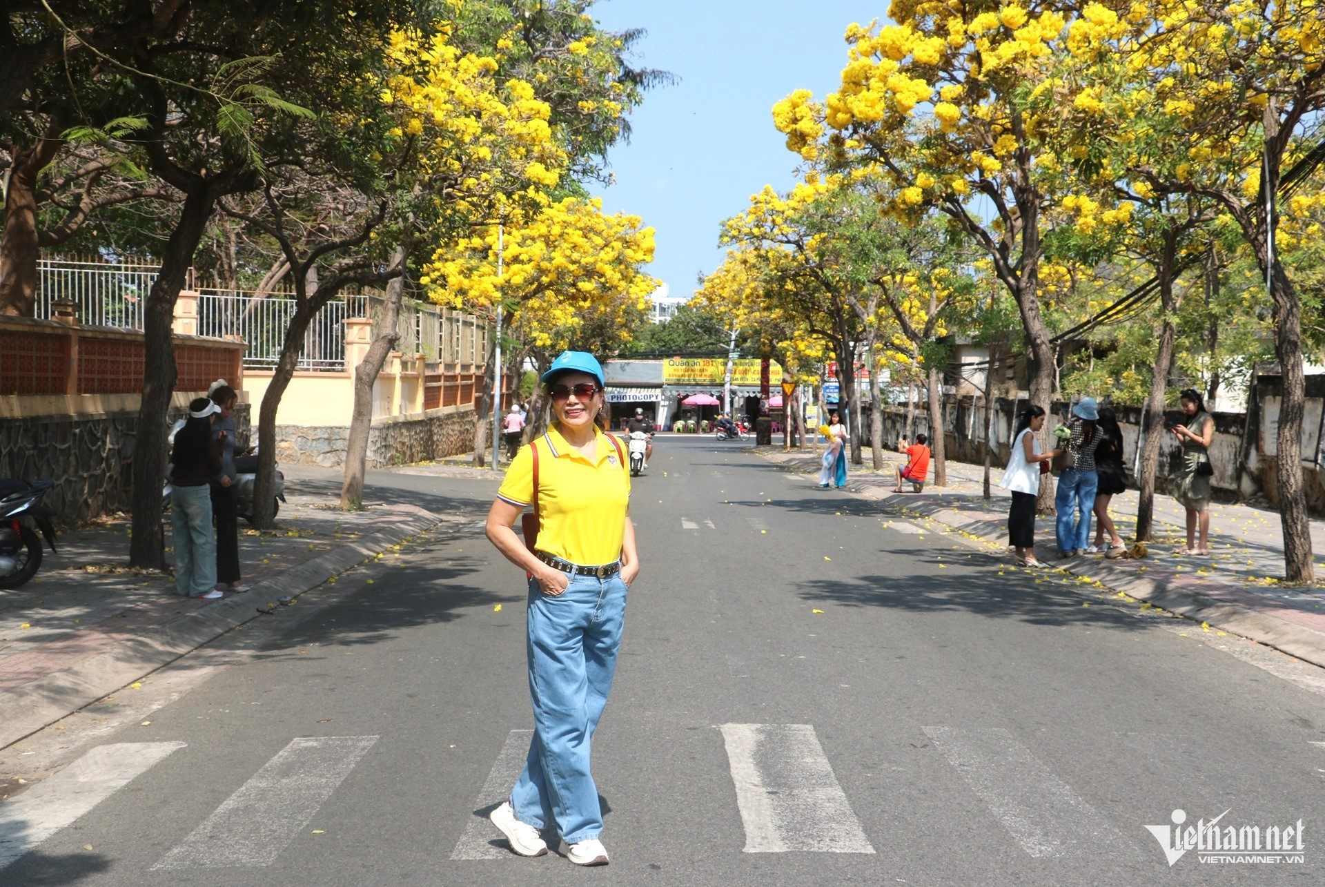 Sắc hoa phong linh amp;#34;nhuộm vàngamp;#34; tuyến phố ở Vũng Tàu, du khách rủ nhau check-in - 3
