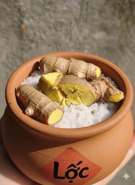 Theo quan niệm phong thủy, đặt gừng và muối trong nhà có tác dụng hút âm khí, xua đuổi vận xui, cân bằng năng lượng và thu hút tài lộc. Ảnh minh họa: TL