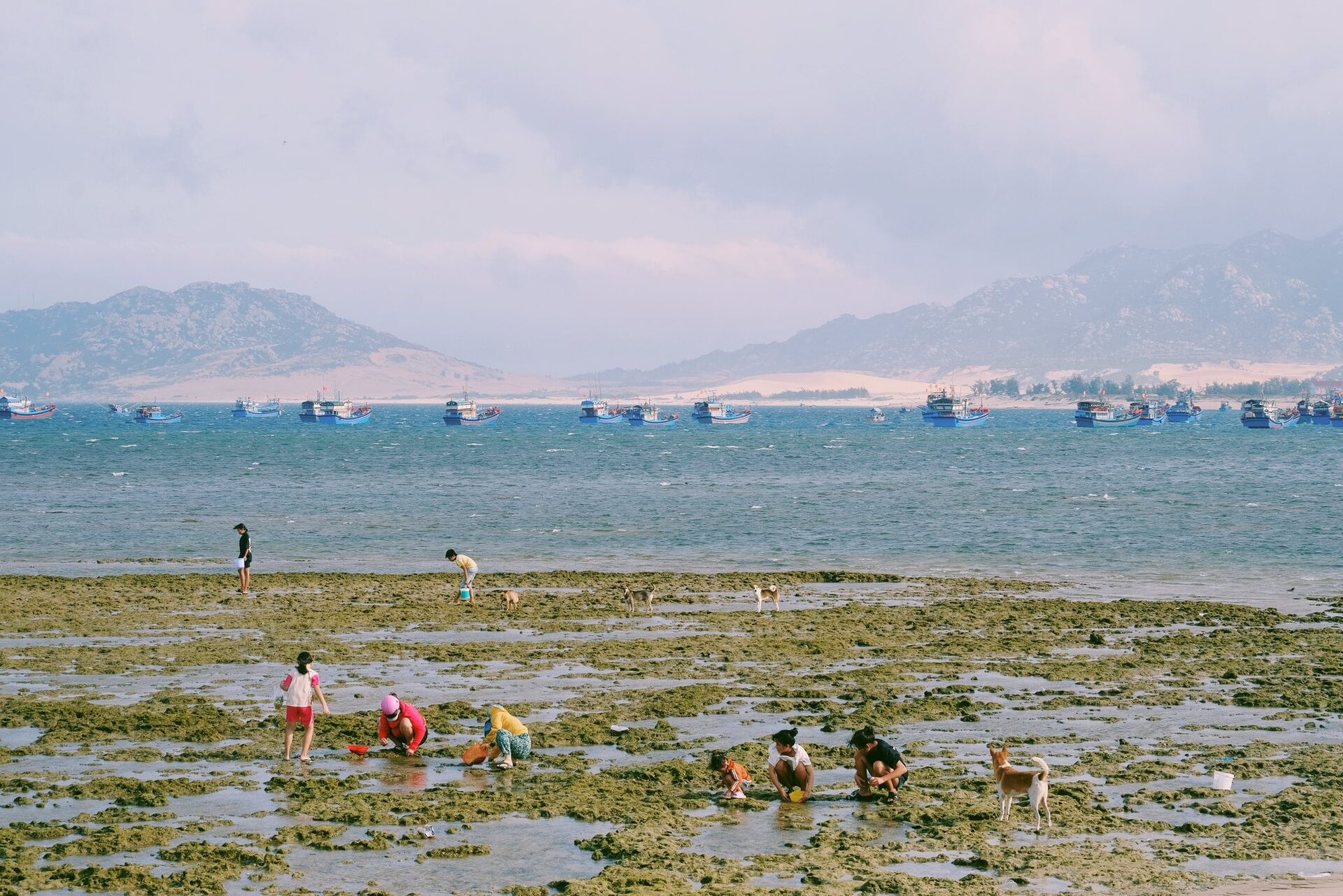 Làng chài amp;#34;chạy gióamp;#34; có khung cảnh siêu đẹp, ít người biết ở Khánh Hòa - 4
