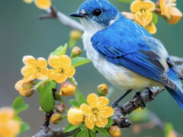 Giờ sinh Âm lịch của người "không thể nghèo": Kiếm tiền giỏi, tiêu tiền càng khôn