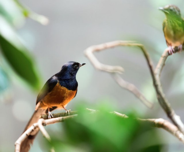 Dù làm việc ở bất kỳ môi trường nào, người sinh ngày 9 Âm lịch vẫn giữ được sự nhiệt huyết và năng lượng tích cực. Ảnh minh họa