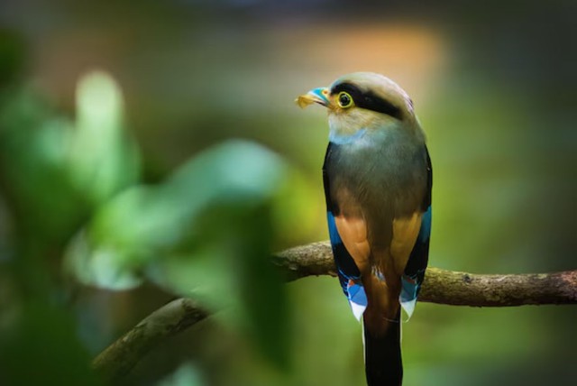 Sự bền bỉ và không ngừng cố gắng giúp người sinh ngày 11 và 17 Âm lịch từng bước cải thiện cuộc sống, đồng thời mang lại sự thịnh vượng cho gia đình. Ảnh minh họa