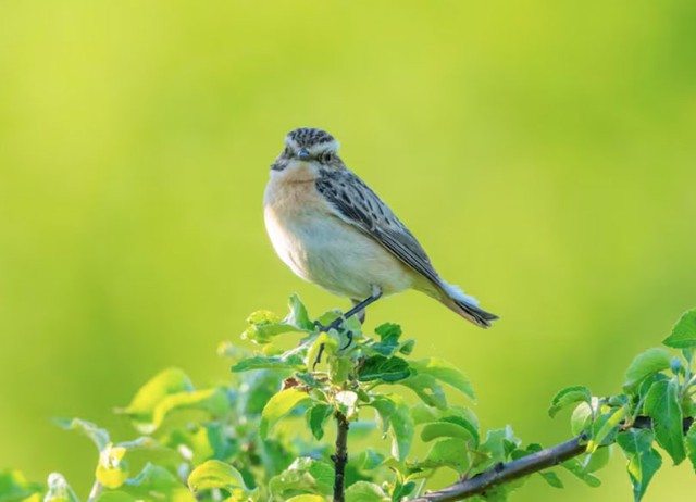 Khi đạt được vị trí nhất định, người sinh ngày 25 Âm lịch càng hoàn thiện bản thân hơn. Theo năm tháng, năng lực của họ cũng ngày một nâng cao. Ảnh minh họa