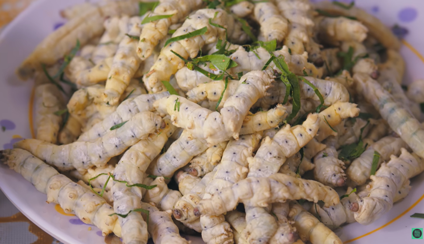 Khách Tây thử món amp;#34;kénamp;#34; người ăn ở Lâm Đồng, khen vị béo ngậy như kem - 2