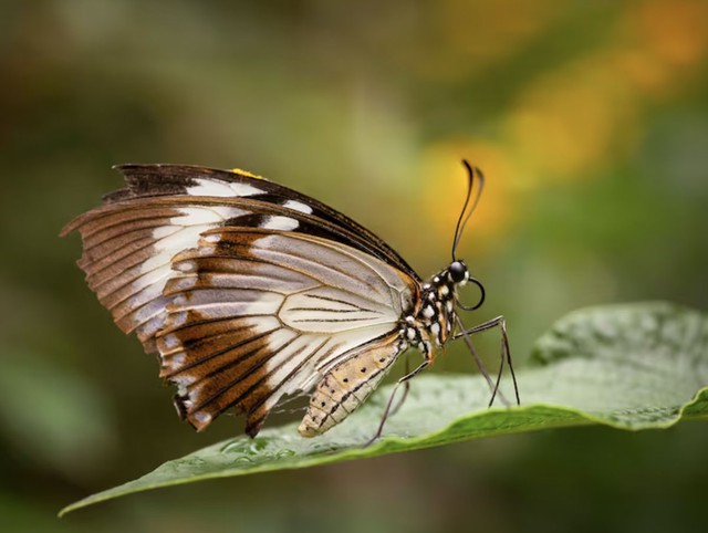Người sinh vào khung giờ Hợi thường giàu cảm xúc, sáng tạo và có khả năng suy nghĩ sâu sắc. Ảnh minh họa