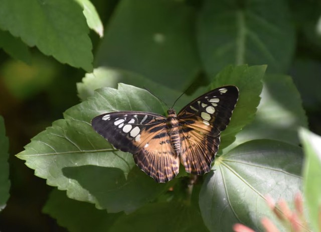Người sinh vào khung giờ Ngọ thường có tính cách thẳng thắn, nhiệt huyết và tinh thần dấn thân. Ảnh minh họa
