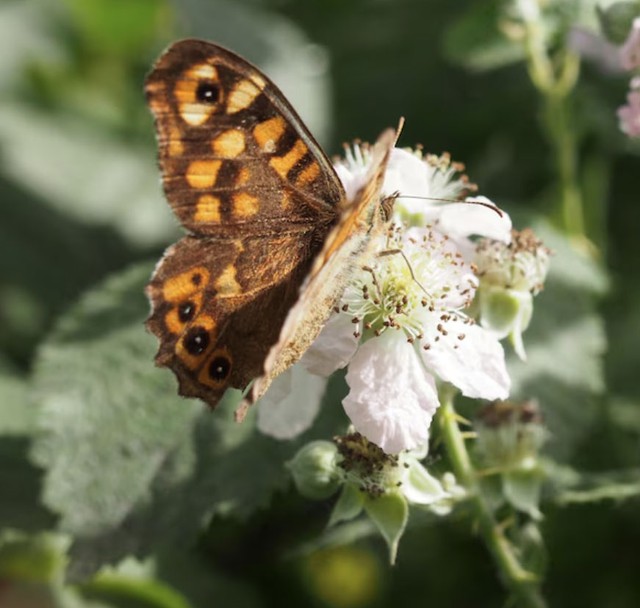Người sinh giờ Thìn thường có ý chí mạnh mẽ và lòng tự tin cao. Họ không dễ bỏ cuộc khi gặp khó khăn. Ảnh minh họa